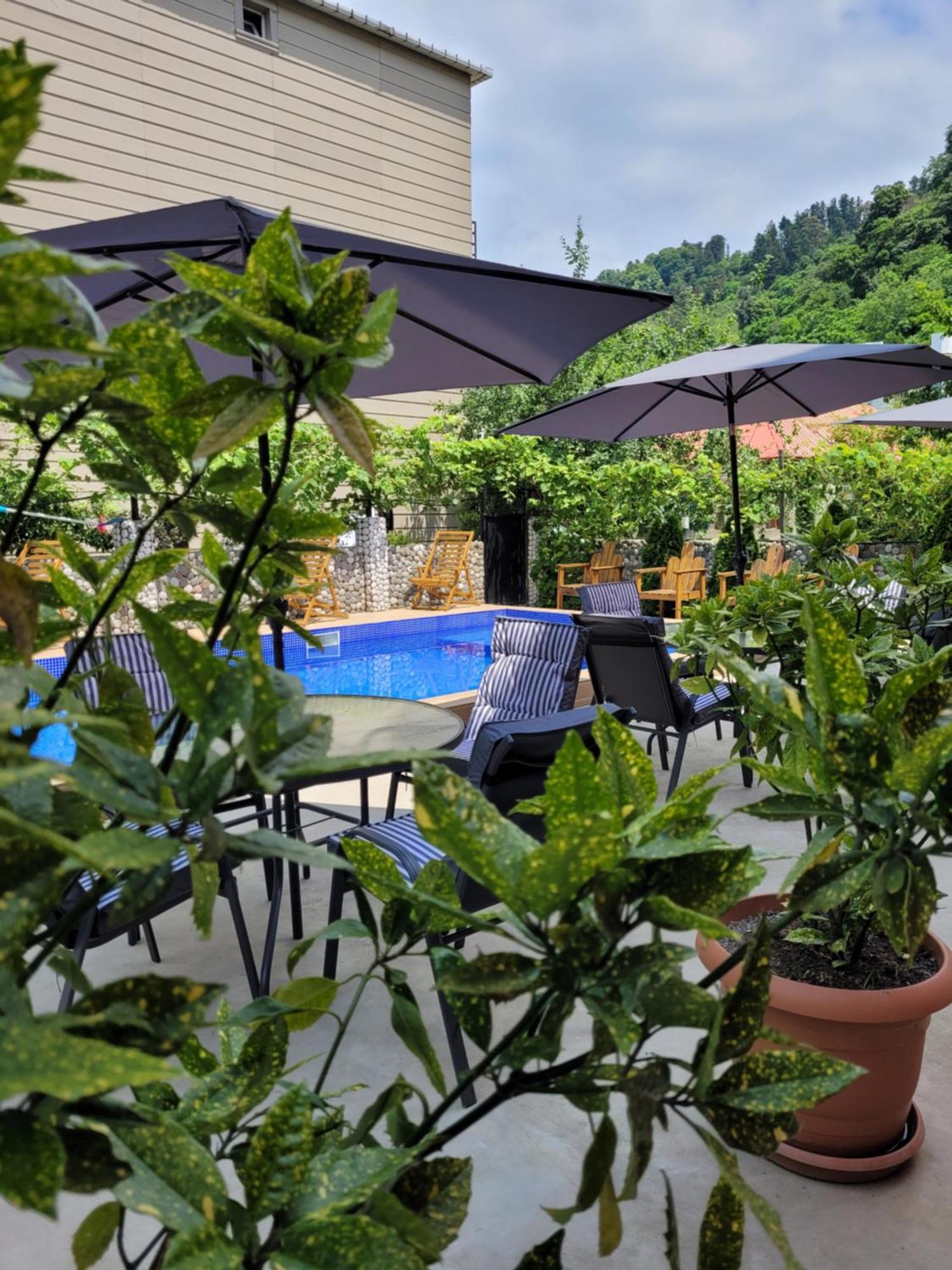 Vizitori Hotel 高尼奥 外观 照片