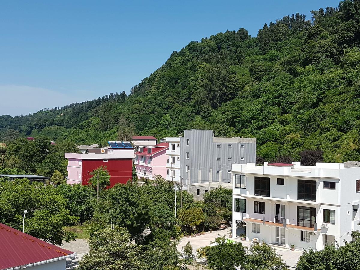 Vizitori Hotel 高尼奥 外观 照片